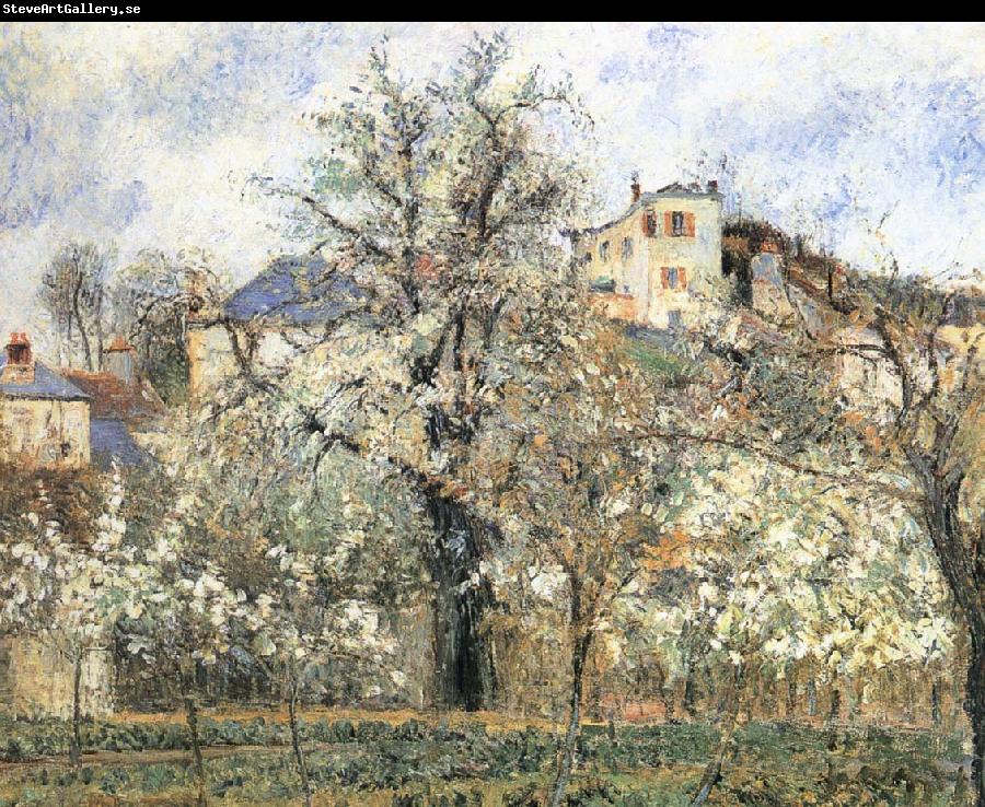 Camille Pissarro Pang plans spring Schwarz